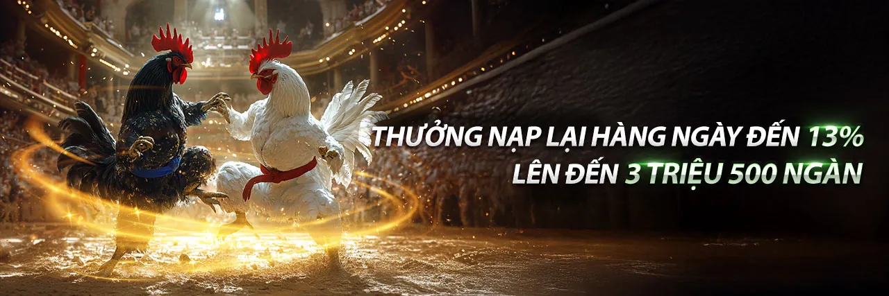 Sân đấu đá gà trực tuyến sôi động tại 888k app